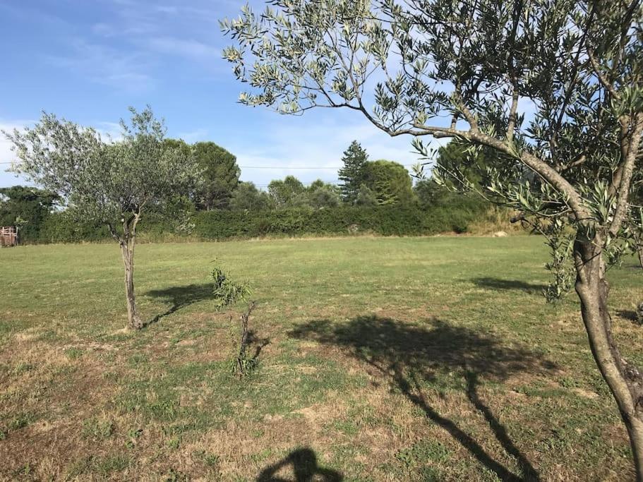 Cocon Aux Portes Des Cevennes Avec Piscine Moulès-et-Baucels Exteriör bild